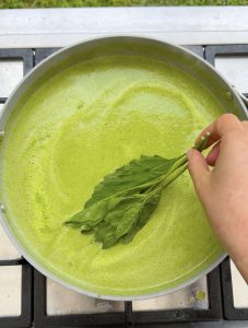 Fresh epazote sprig being added to a pot of simmering green sauce.