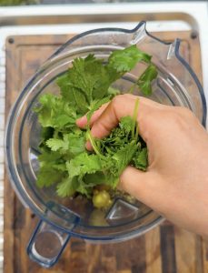 Fresh cilantro being added to a blender with tomatillos and peppers.